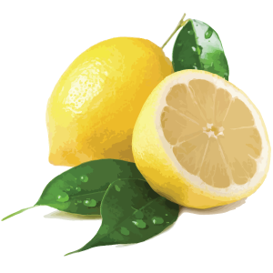 LemonLogo